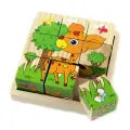 6-in-1 Wooden Block Puzzle (Random Design)