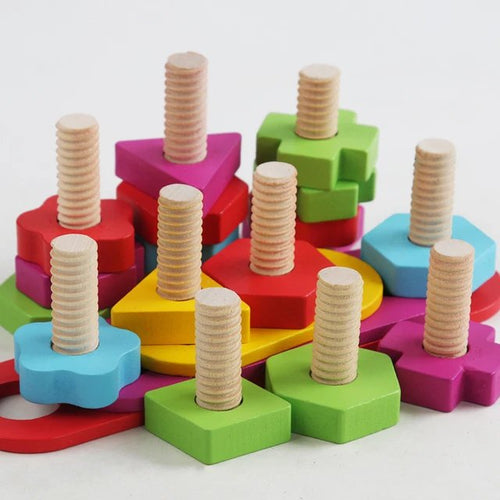 Wooden Nuts and Bolts Puzzle Blocks