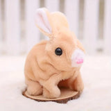 Fluffy Walking Rabbit (Pack Of 3)