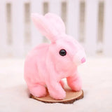 Fluffy Walking Rabbit (Pack Of 3)