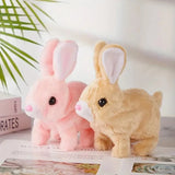 Fluffy Walking Rabbit (Pack Of 3)