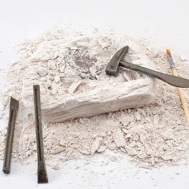 Dinosaur Skeleton Soil Excavation Model Kit