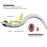 Realistic Remote Control Snake With Egg Shaped Controller