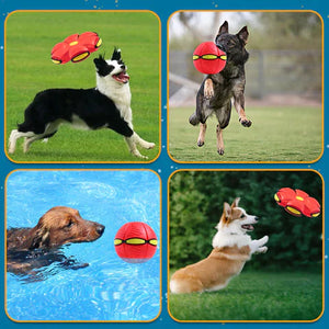 🐶 Dog Flying Soccer Ball