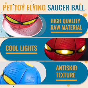 🐶 Dog Flying Soccer Ball