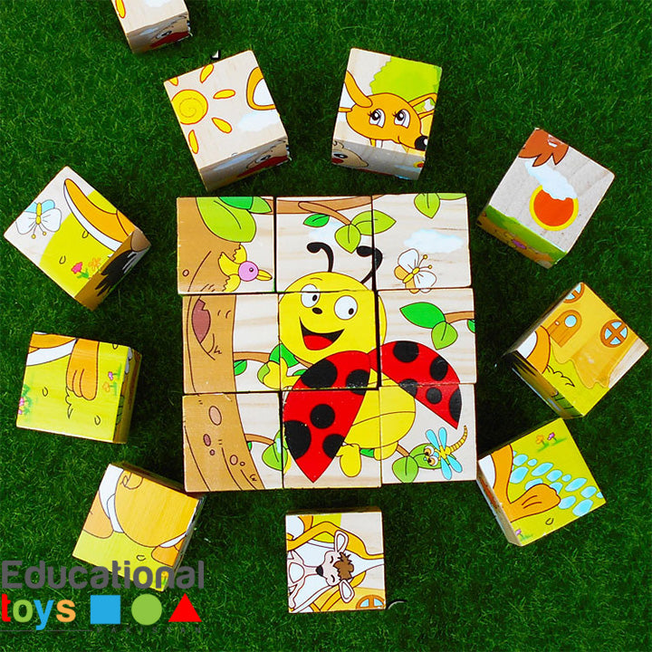 6-in-1 Wooden Block Puzzle (Random Design)