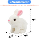 Fluffy Walking Rabbit (Pack Of 3)