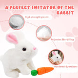 Fluffy Walking Rabbit (Pack Of 3)