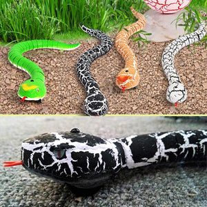 Realistic Remote Control Snake With Egg Shaped Controller