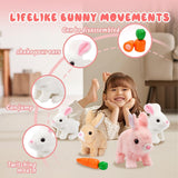 Fluffy Walking Rabbit (Pack Of 3)