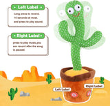 Dancing Talking Cactus Toy