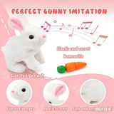 Fluffy Walking Rabbit (Pack Of 3)