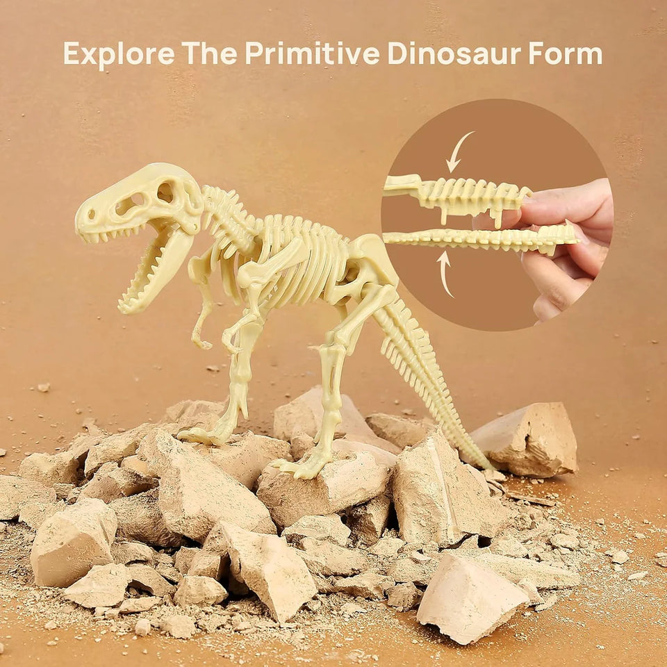 Dinosaur Skeleton Soil Excavation Model Kit