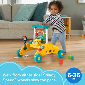 Fisher Price 2 Sided Steady Speed Tiger Walker