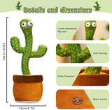 Dancing Talking Cactus Toy