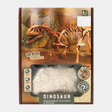 Dinosaur Skeleton Soil Excavation Model Kit